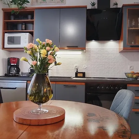 Lejlighed Volosko View *